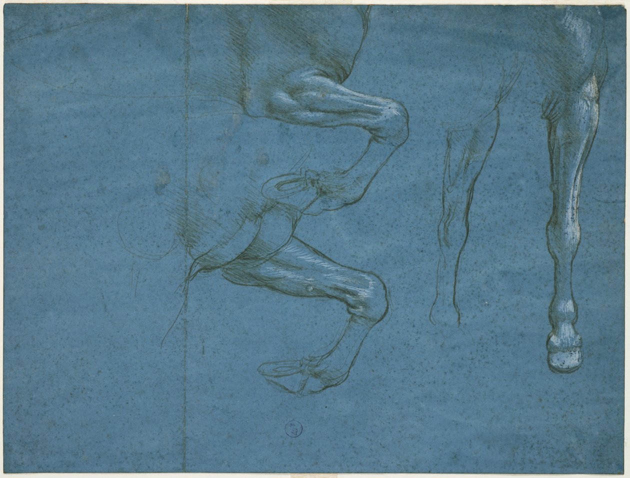 Études des membres antérieurs du cheval, c. 1490 - Leonardo da Vinci