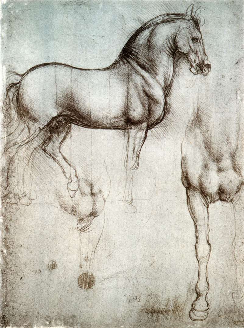 Étude des chevaux - Leonardo da Vinci