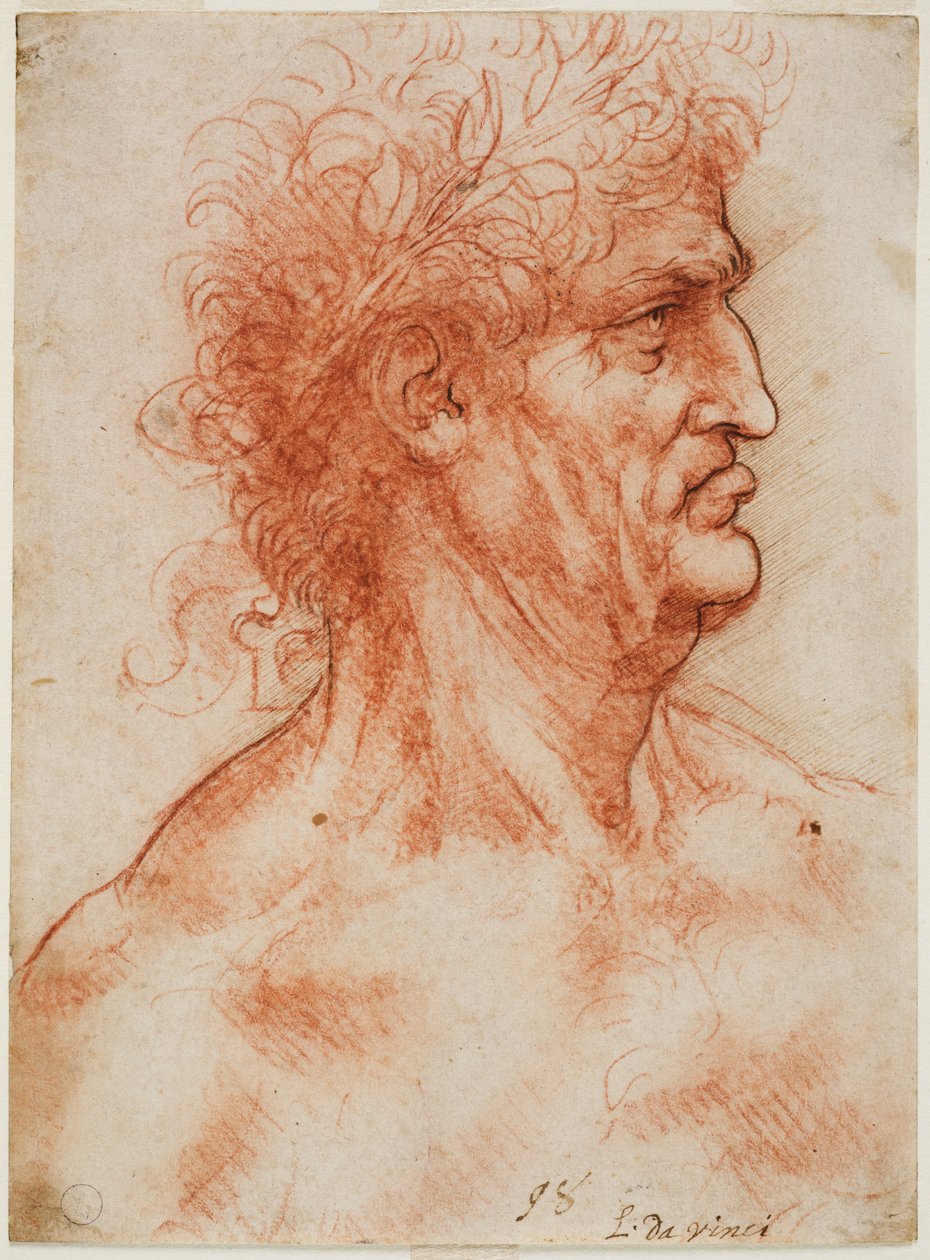 Tête virile de profil couronnée de laurier, vers 1506-10 - Leonardo da Vinci