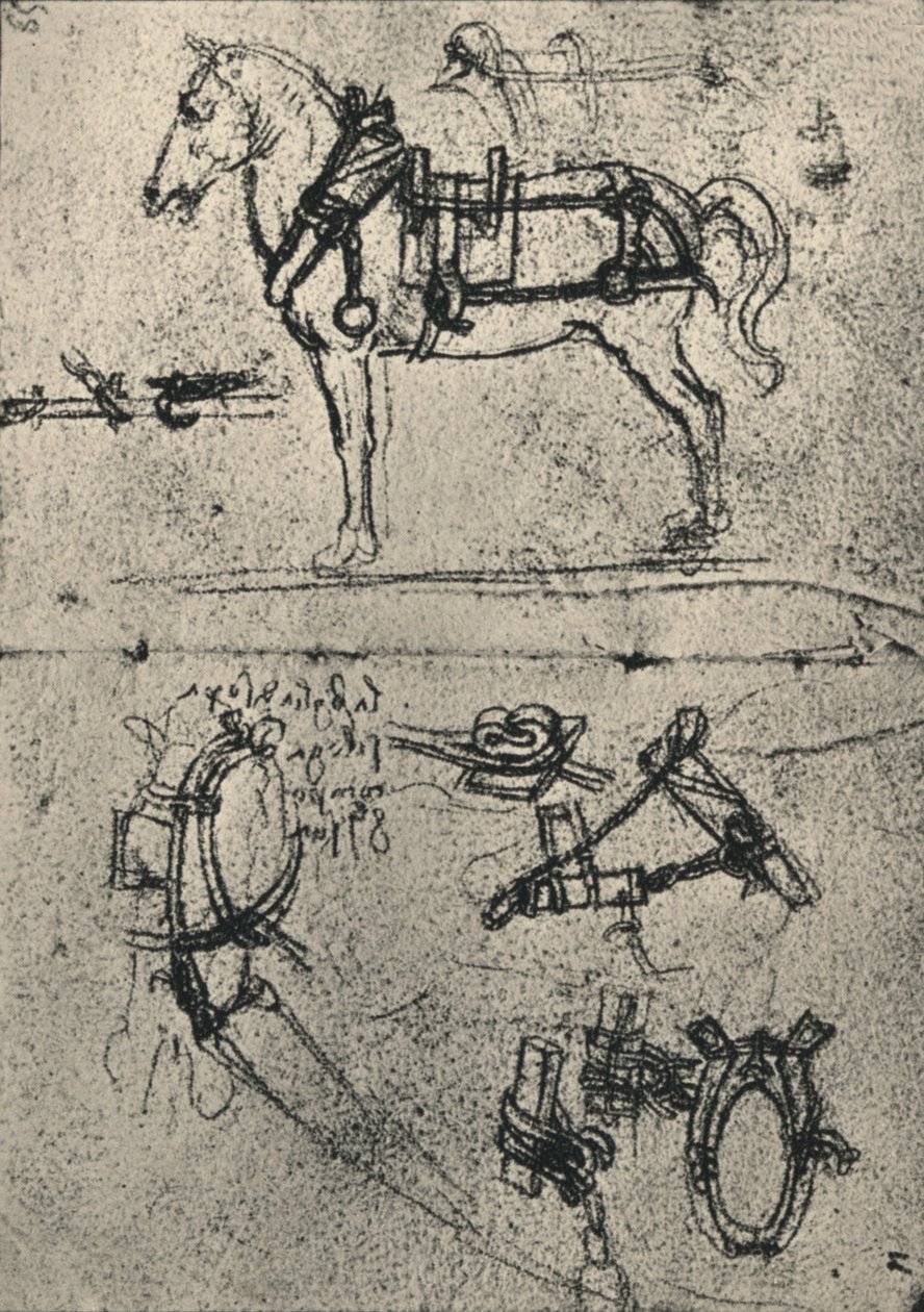 Un cheval de trait harnaché et études de harnais, vers 1480 1945 - Leonardo da Vinci
