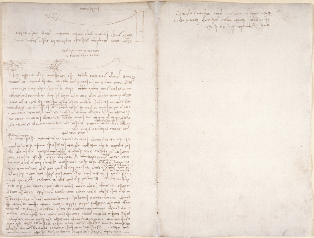 Arundel 263, f.166v, f.163 Notes et diagrammes sur le vol des oiseaux, du 
