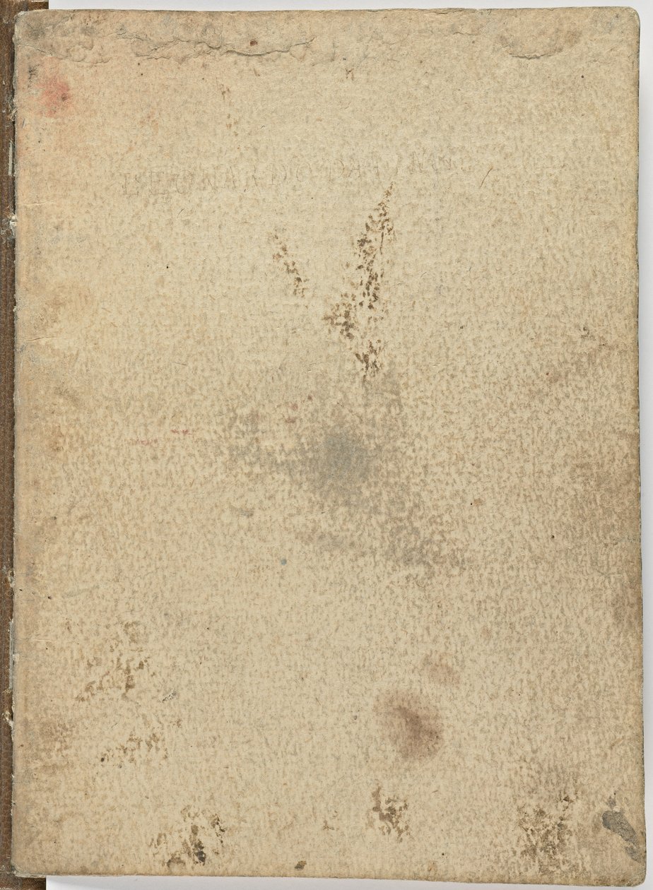Code sur le vol des oiseaux - Leonardo da Vinci