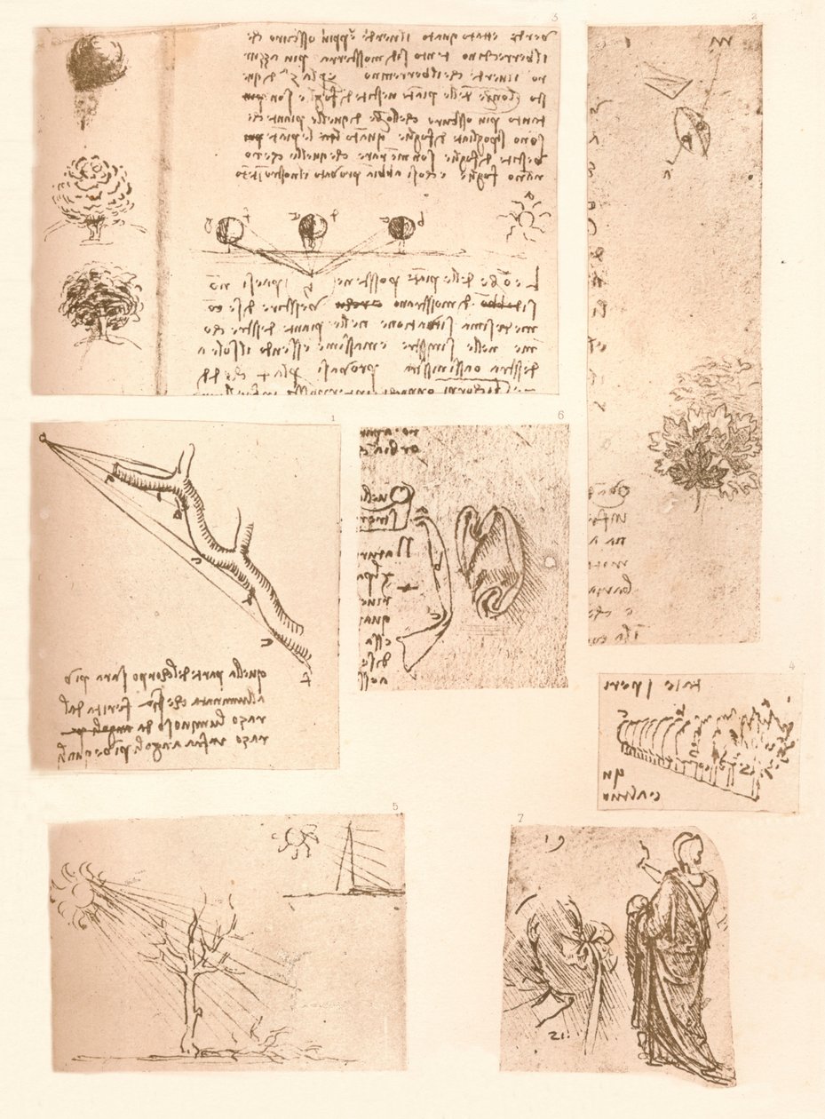 Cinq dessins illustrant les éléments de la peinture de paysage, vers 1472-1519, 1883 - Leonardo da Vinci