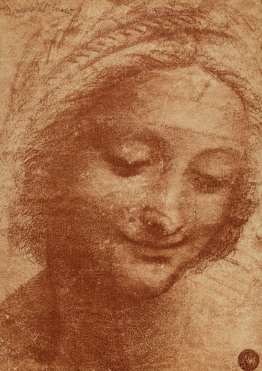 Tête de femme ou de Sainte Anne (dessin de Léonard de Vinci) - Leonardo da Vinci