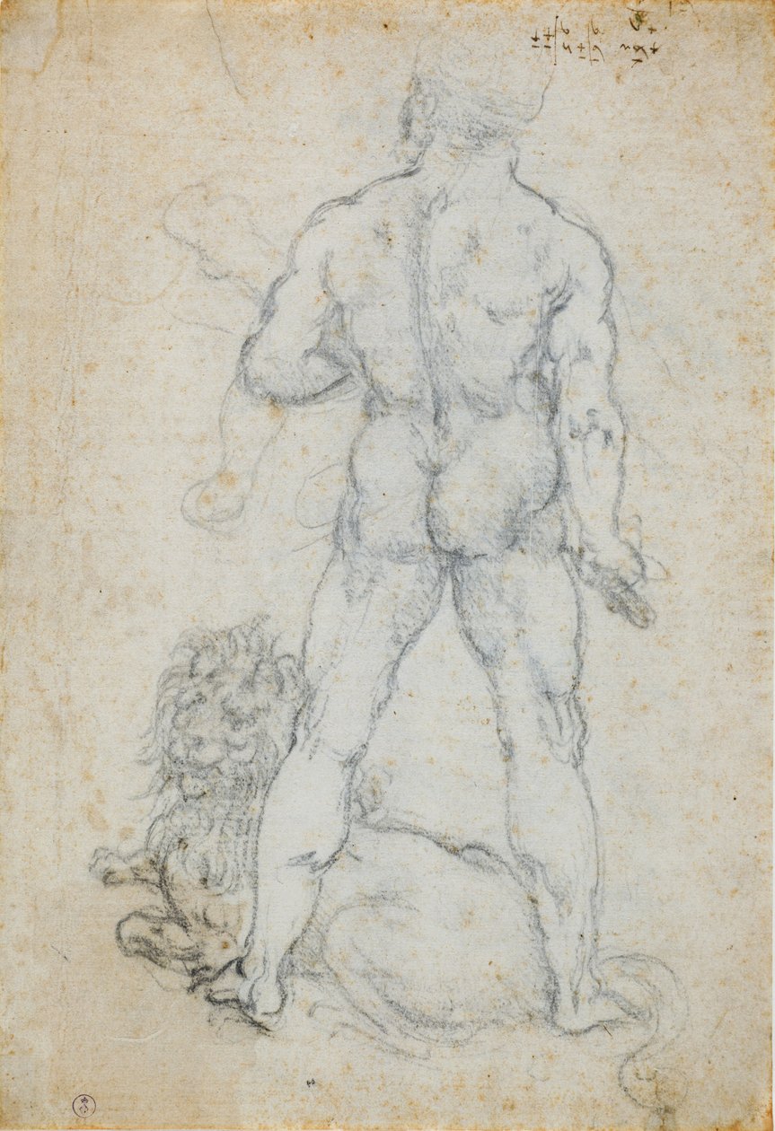 Hercule et le lion de Némée, c. 1506-08 - Leonardo da Vinci