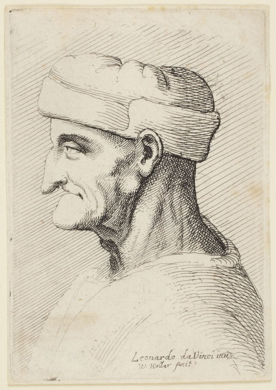 Le vieil homme à la casquette - Leonardo da Vinci
