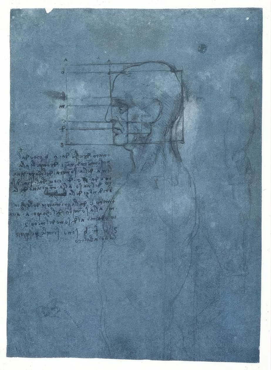 Étude de proportions d