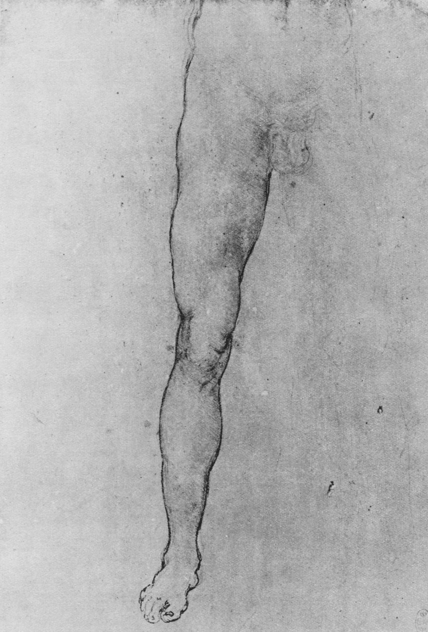 Étude de la moitié inférieure d
