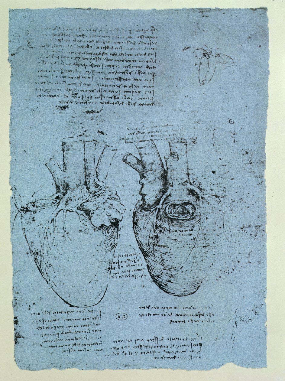 Le Cœur, fac-similé du livre de Windsor - Leonardo da Vinci