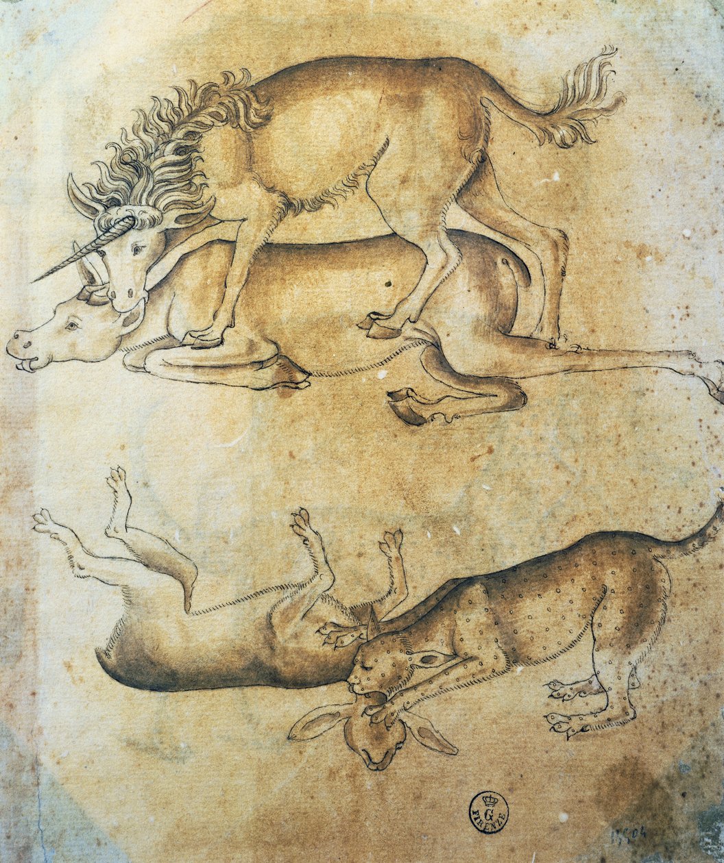 Licorne attaquant une vache et léopard attaquant un mouton, étude d