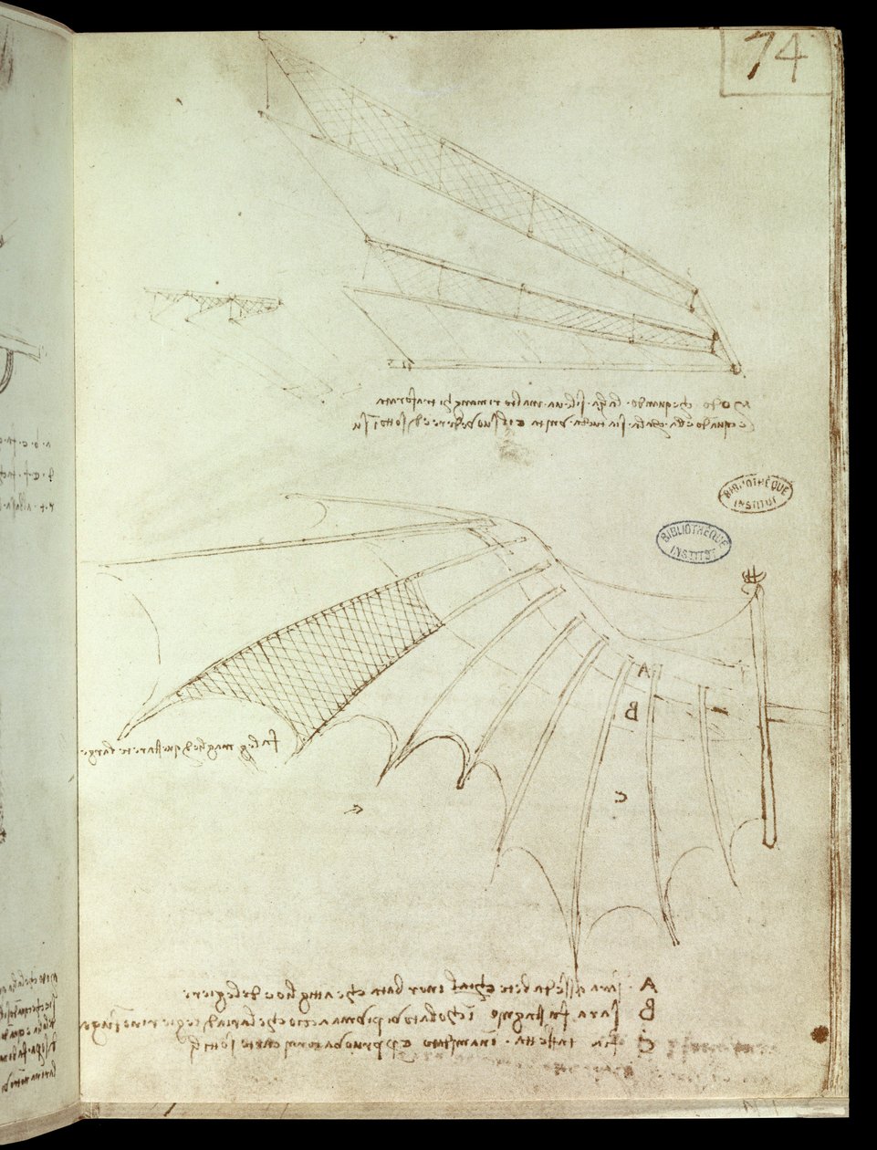 Aile - Leonardo da Vinci