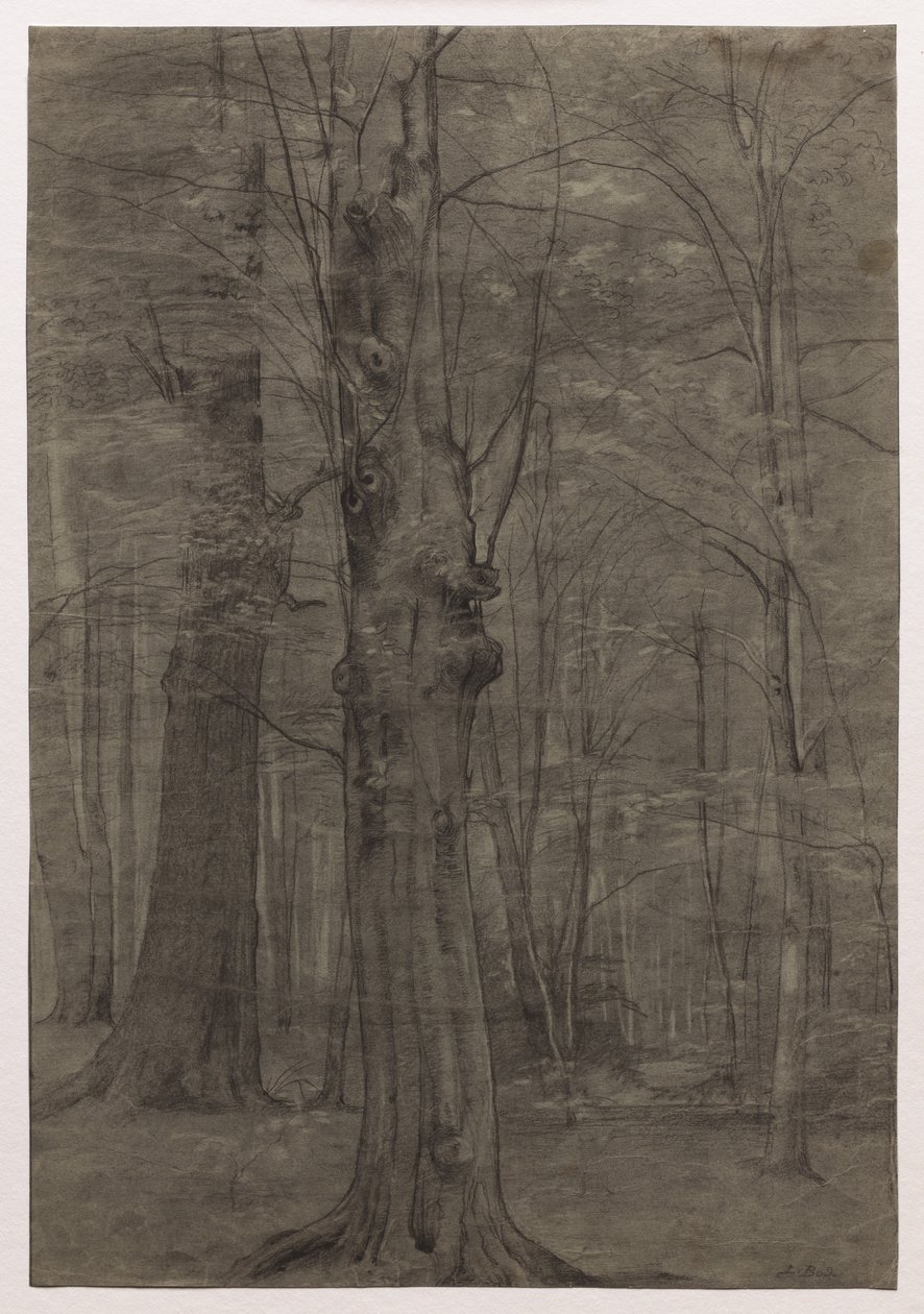 Arbres - Leopold Bode