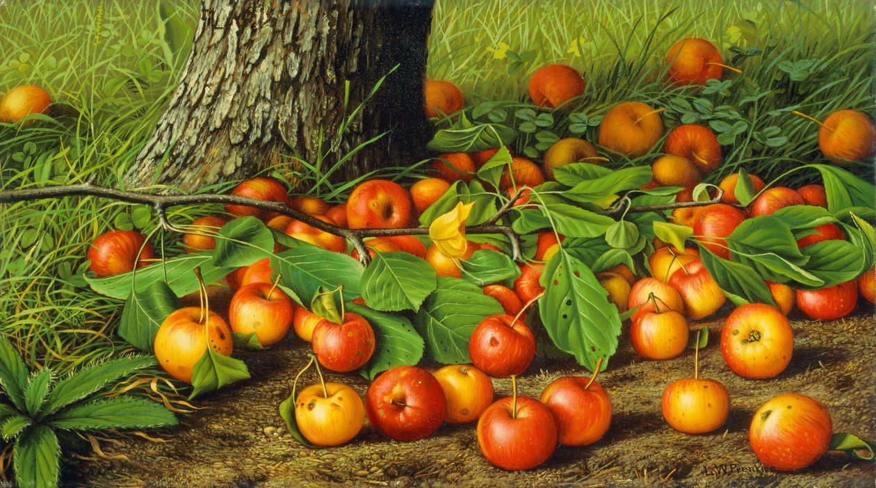 Nature morte avec des pommes près d