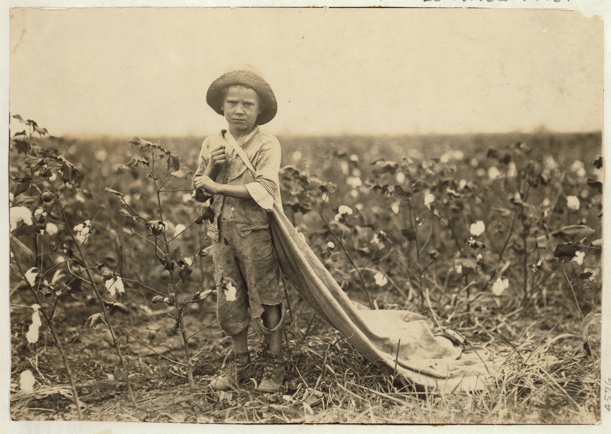 Warren Frakes, 6 ans, avec environ 20 livres de coton dans son sac à Comanche County, Oklahoma, 1916 - Lewis Wickes Hine