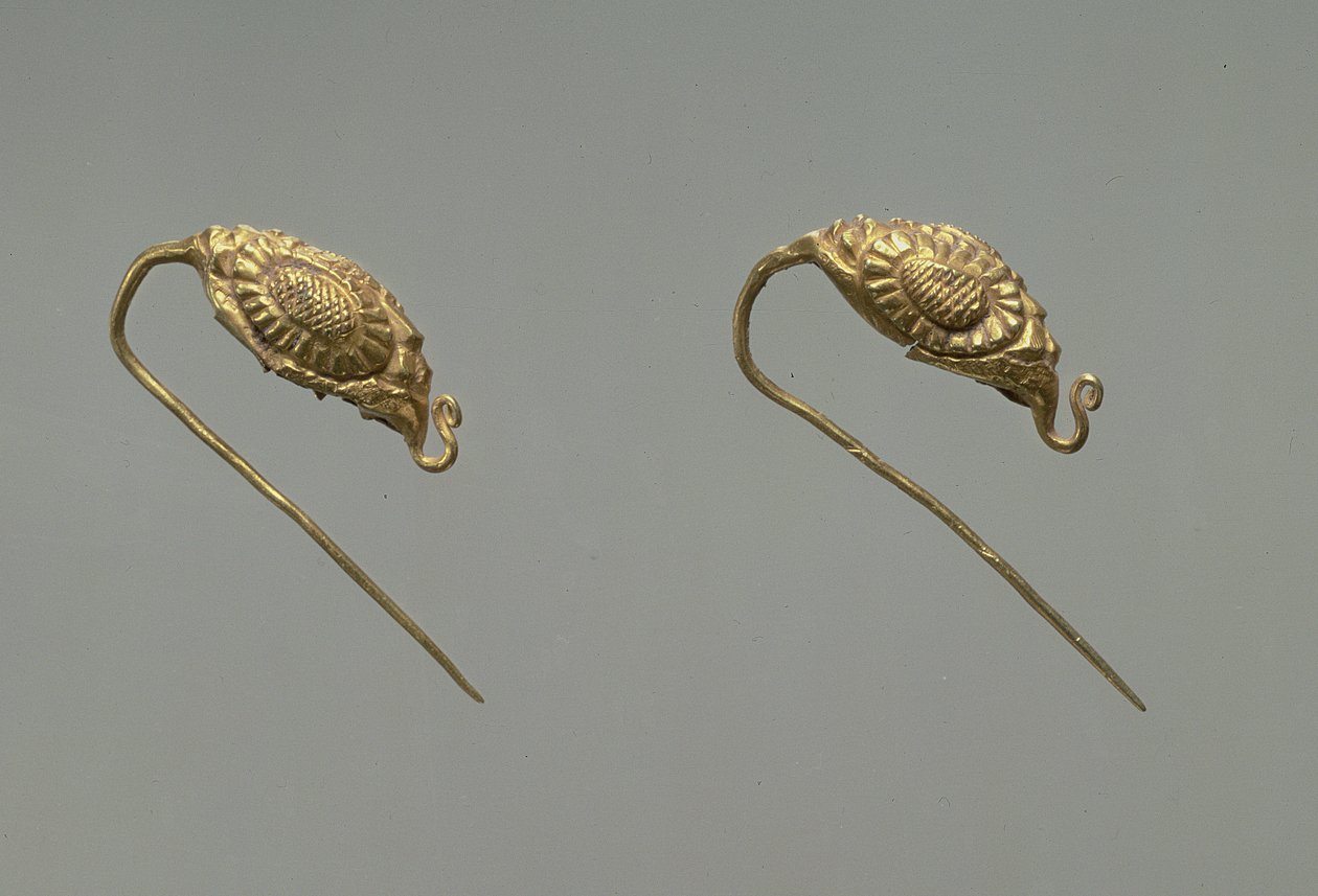Paire de boucles d