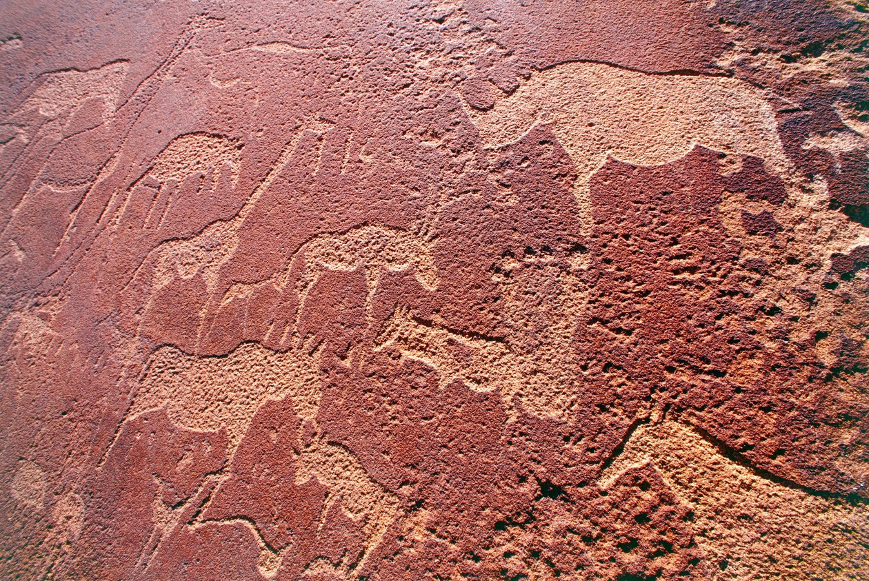 Namibie, région sauvage de Damaraland, Twyfelfontein, montagnes de Brandberg, gravures rupestres de l