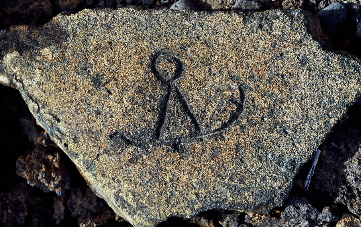 Gravure sur pierre, Puako Petroglyph Archaeological District, Île d