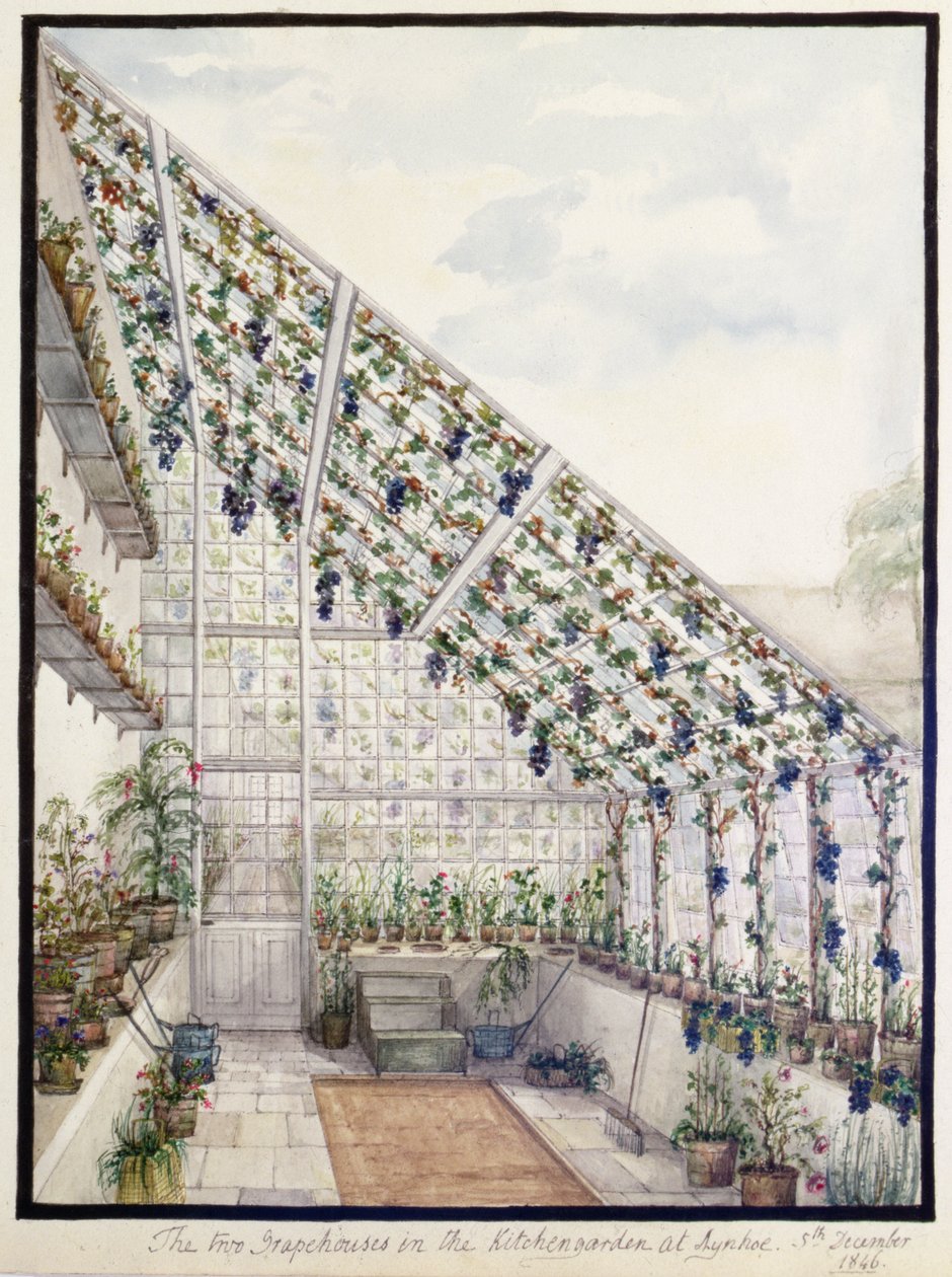 Les Deux Serres à Raisins dans le Jardin de Cuisine, Aynhoe - Lili Cartwright
