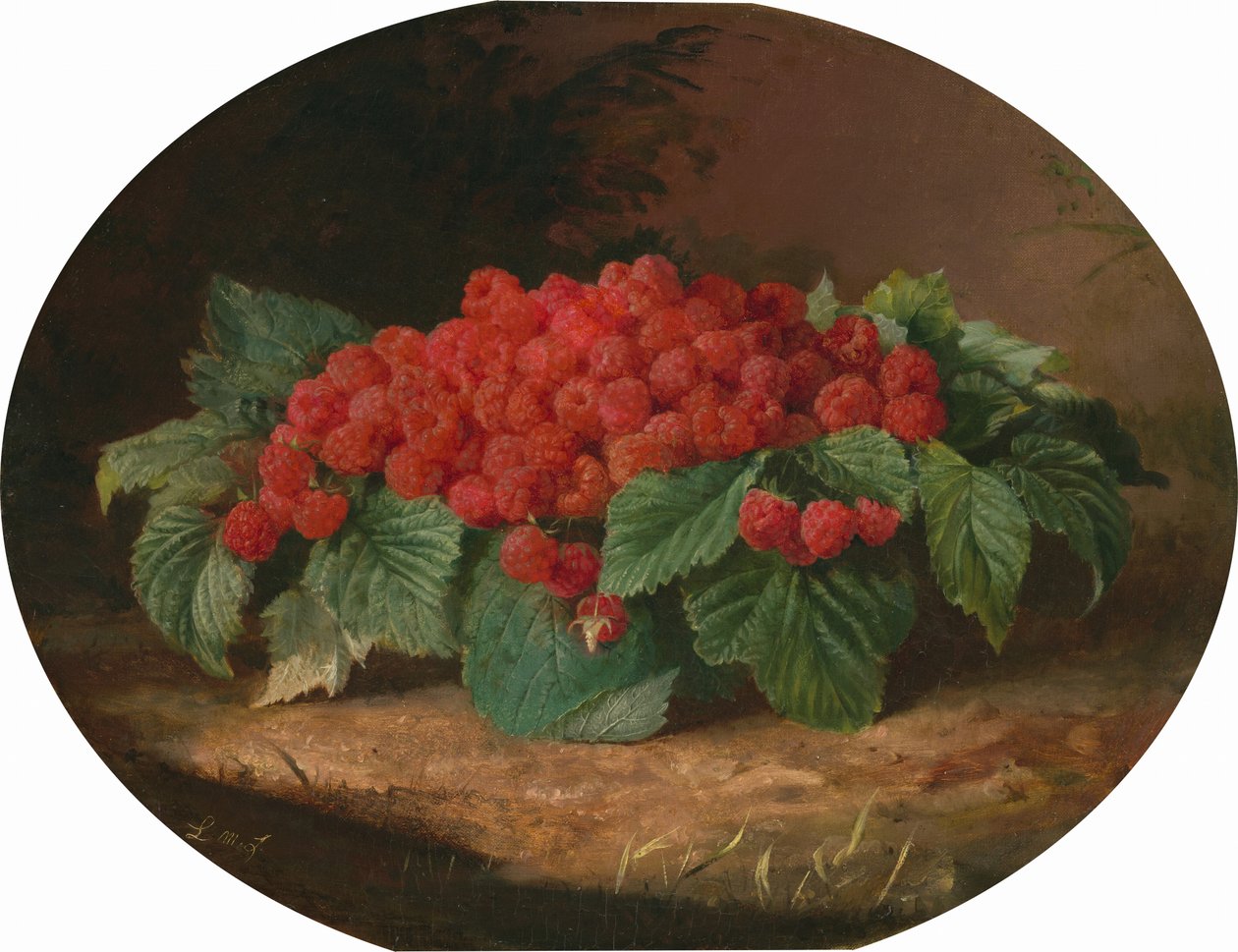 Framboises, vers 1859 (huile sur toile) - Lilly Martin Spencer