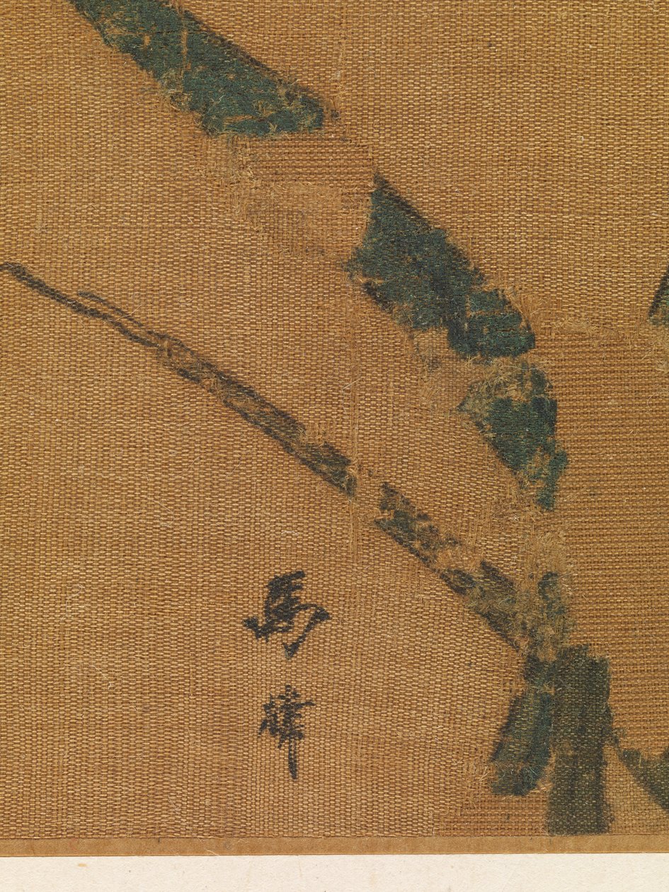 Orchidées, deuxième quart du XIIIe siècle (feuille d