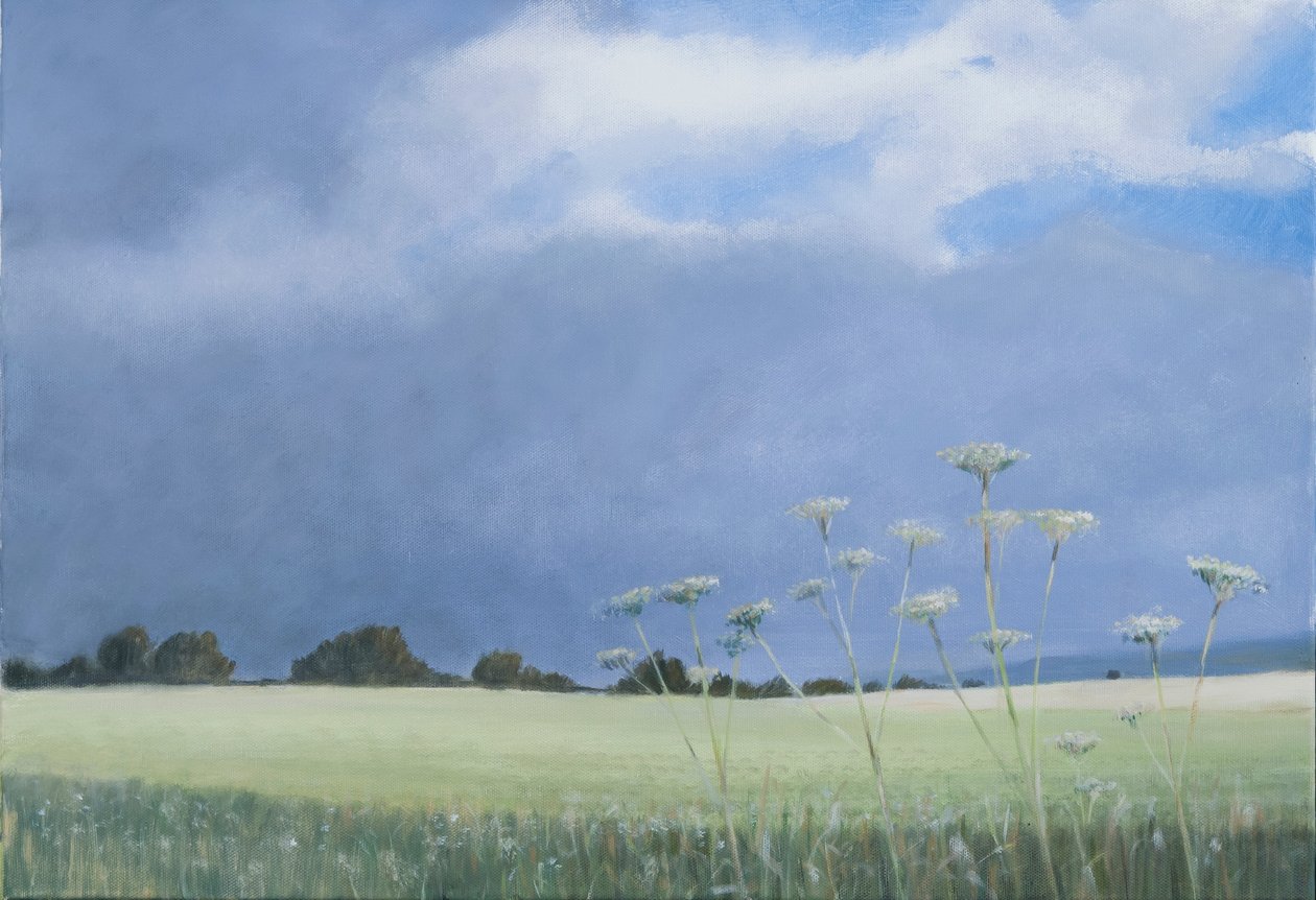 Cerfeuil sauvage, 2012 - Lincoln Seligman