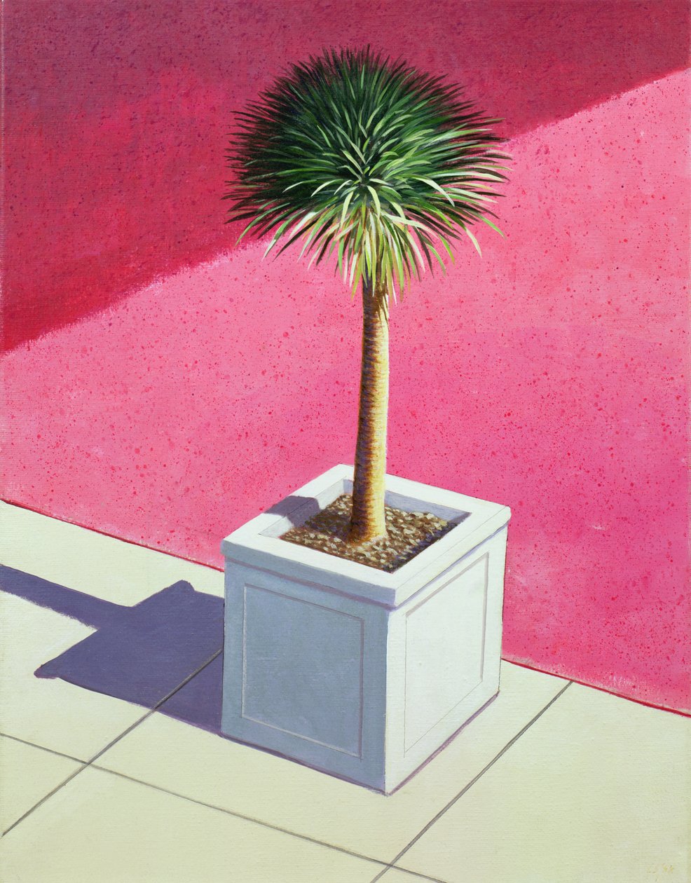 Petite palme, 1995 - Lincoln Seligman
