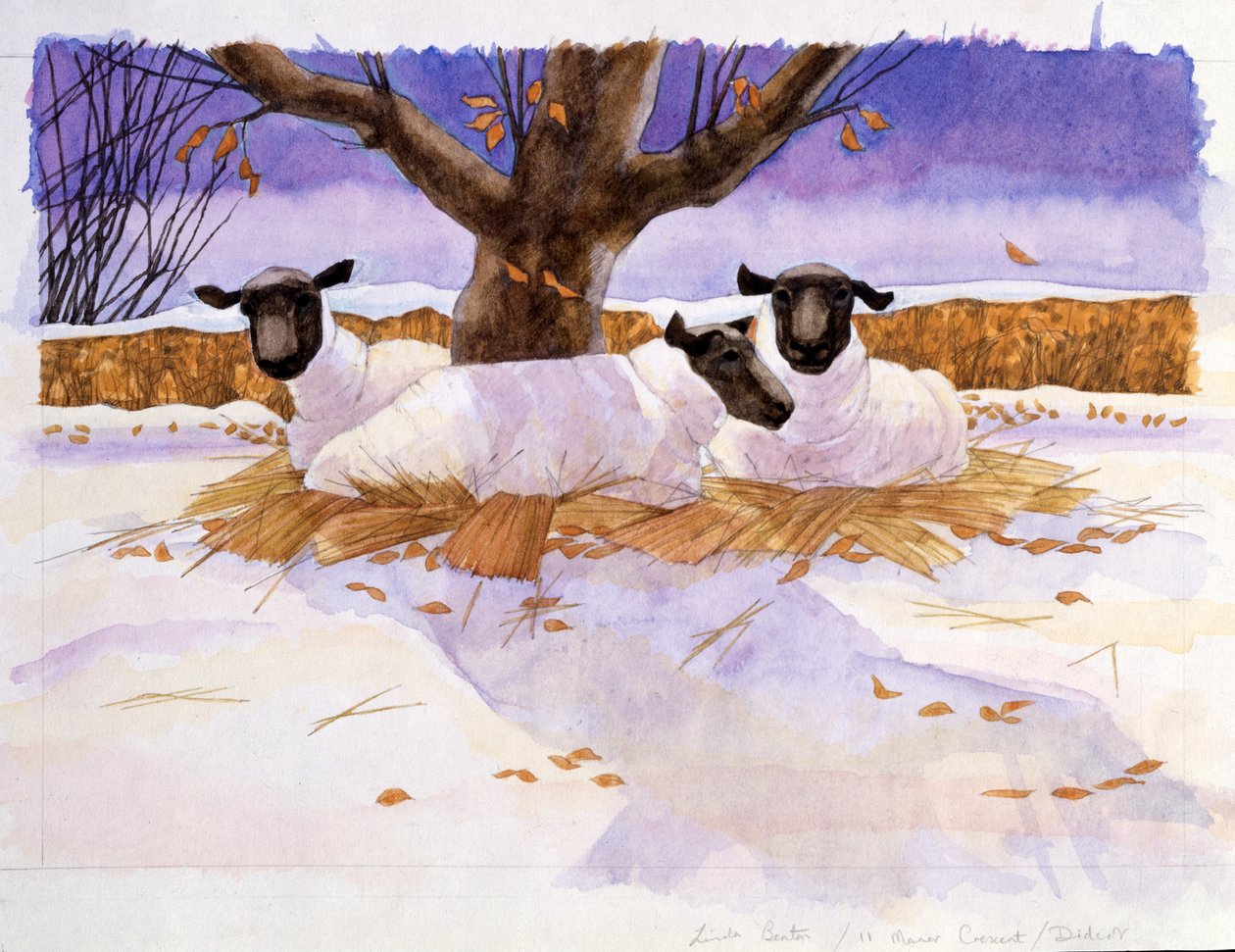 Moutons dans la neige - Linda Benton