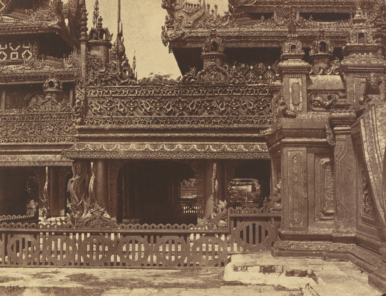Amerapoora : une autre partie du balcon de Kyoung n° 86 - Linnaeus Tripe