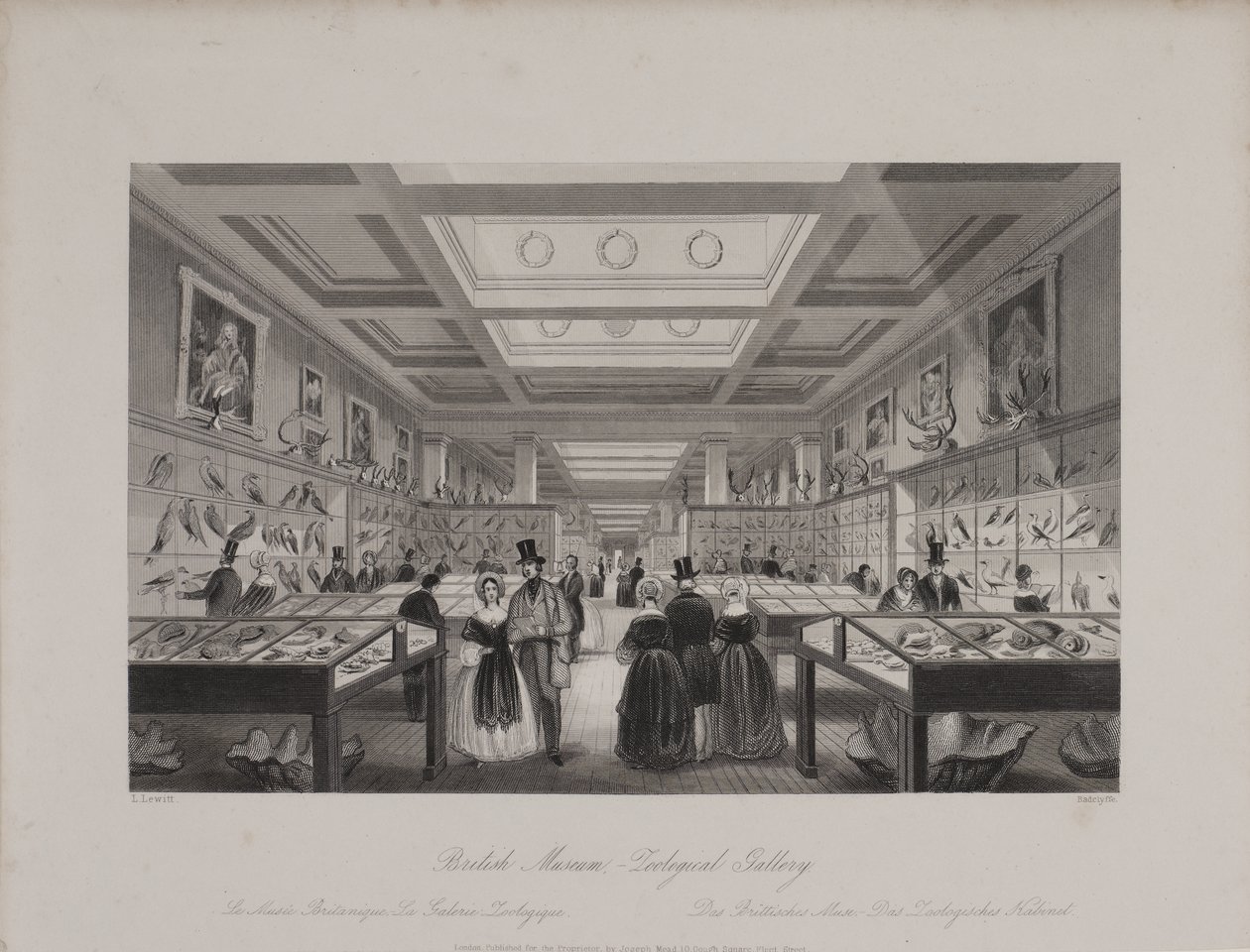 Vue de la galerie zoologique du British Museum montrant des visiteurs regardant des expositions, vers 1850 (gravure) - Llewellyn (after) Jewitt