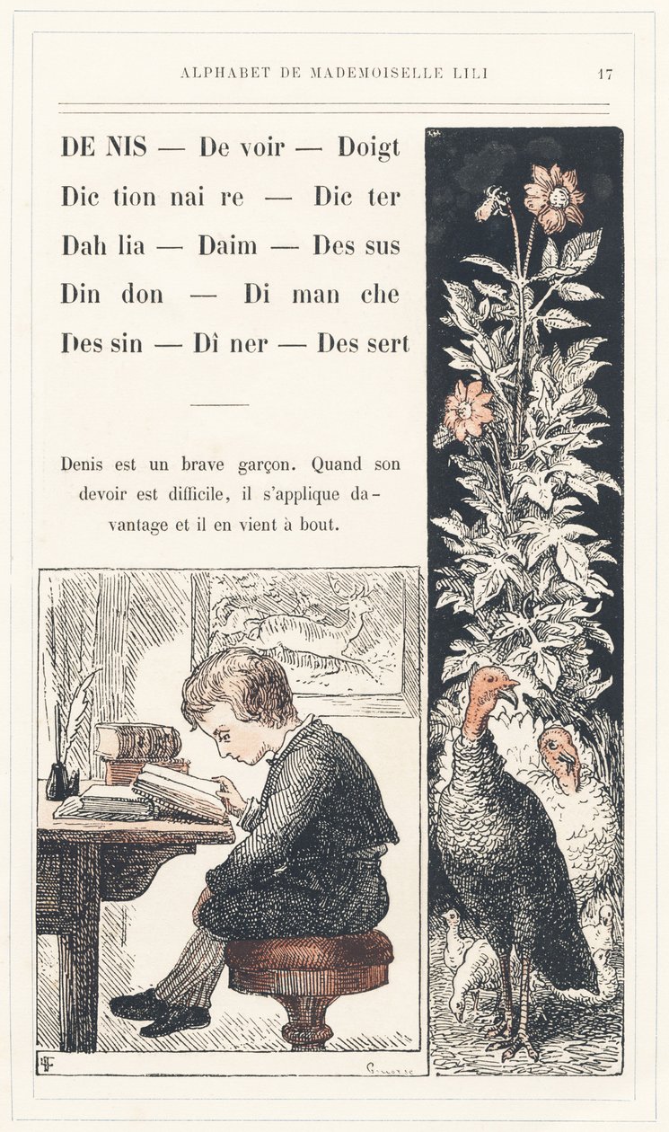 Denis, Devoir, Doigt, Dictionnaire, Dicter, Dahlia, Daim, Sommet, Dinde, Dimanche, Dessin, Dîner, Dessert, page 17 - Alphabet par Mademoiselle Lili, par L. Froelich et par un père (Hetzel lui-même). Bibliothèque & Magasin d