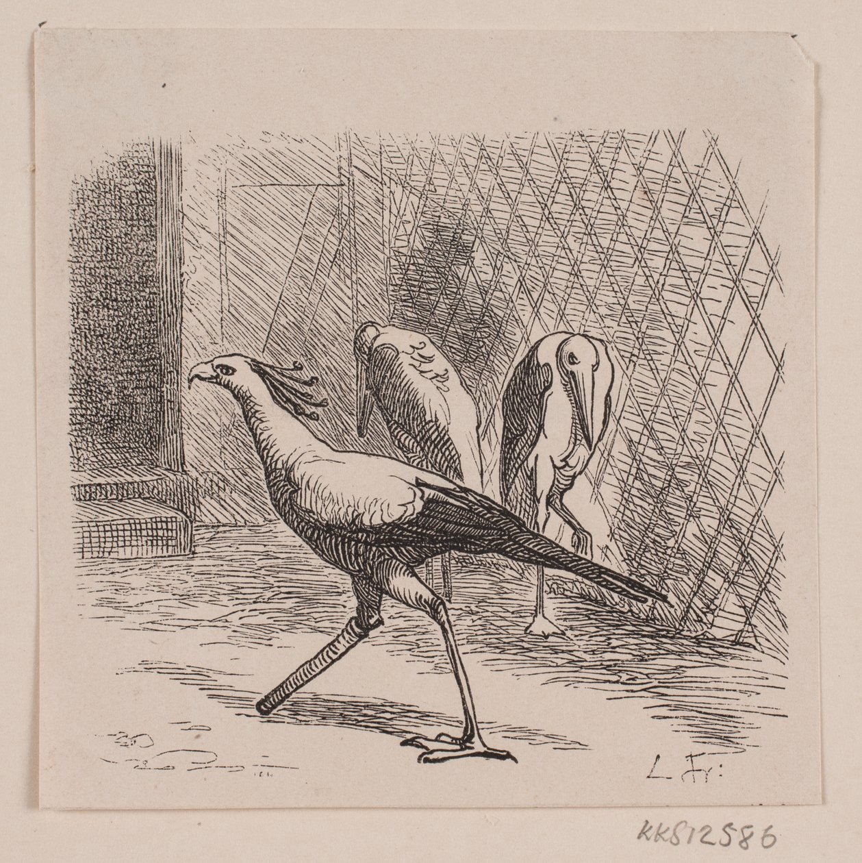 Secrétaire au Jardin des Plantes - Lorenz Frølich