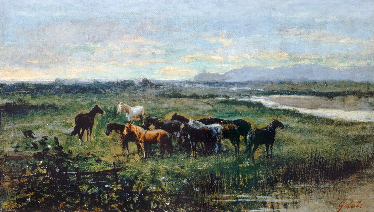 Chevaux sauvages, vers 1870, par Lorenzo Gelati - Lorenzo Gelati