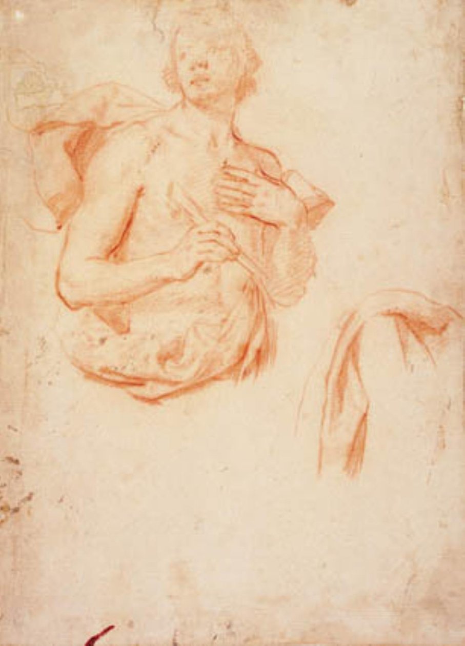 Jeune homme, mi-longueur avec torse nu, et étude de draperie - Lorenzo Lippi