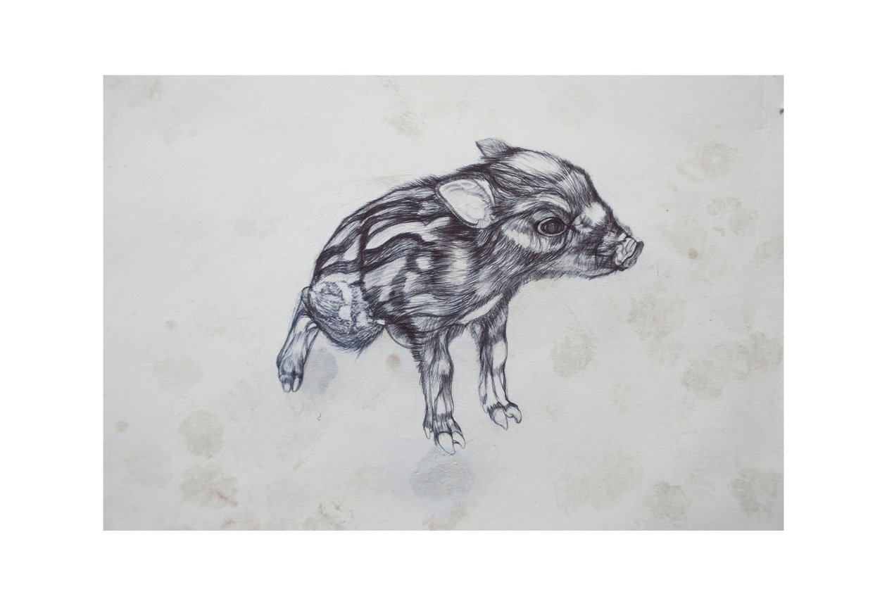 Petit Cochon - Lou Gibbs