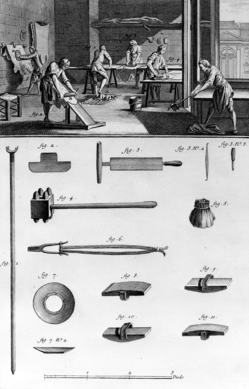 Cuir, gravure de Robert Benard, illustration de 