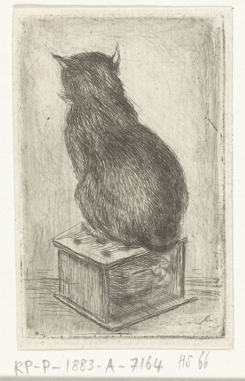 Chat assis sur un poêle - Louis Bernard Coclers