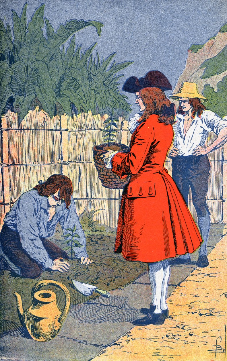 Le Chevalier de Clieux introduit le café - Louis Charles Bombled