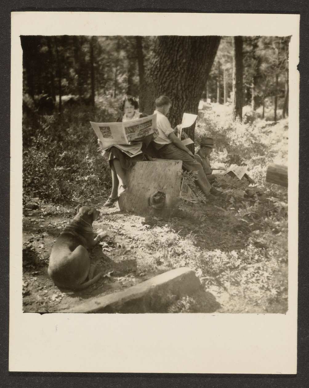 [Un couple lisant le journal dans les bois] - Louis Fleckenstein