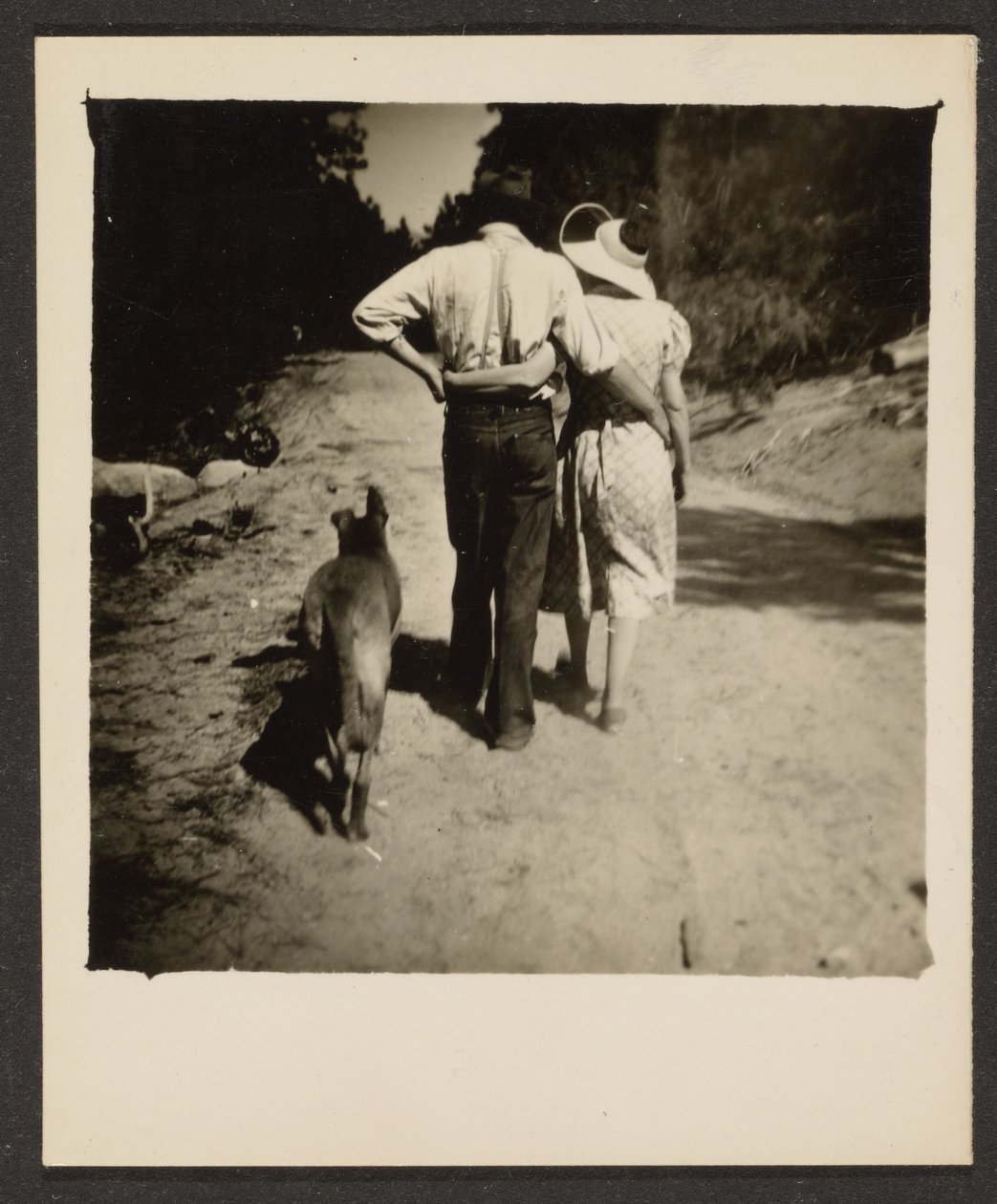 [Un couple se promenant avec son chien] - Louis Fleckenstein