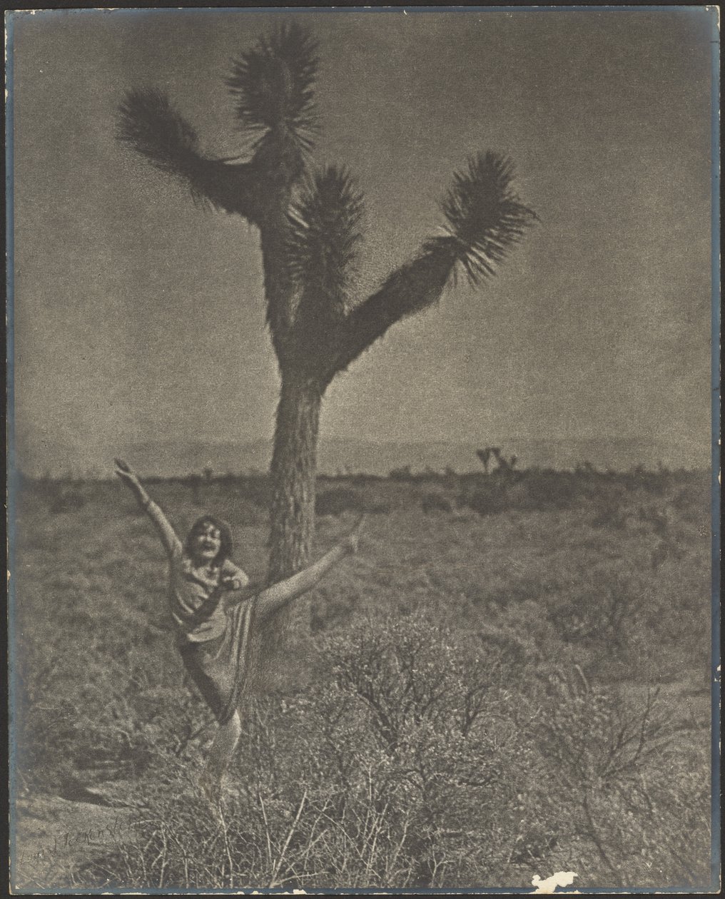 [Danseuse à Joshua Tree] - Louis Fleckenstein