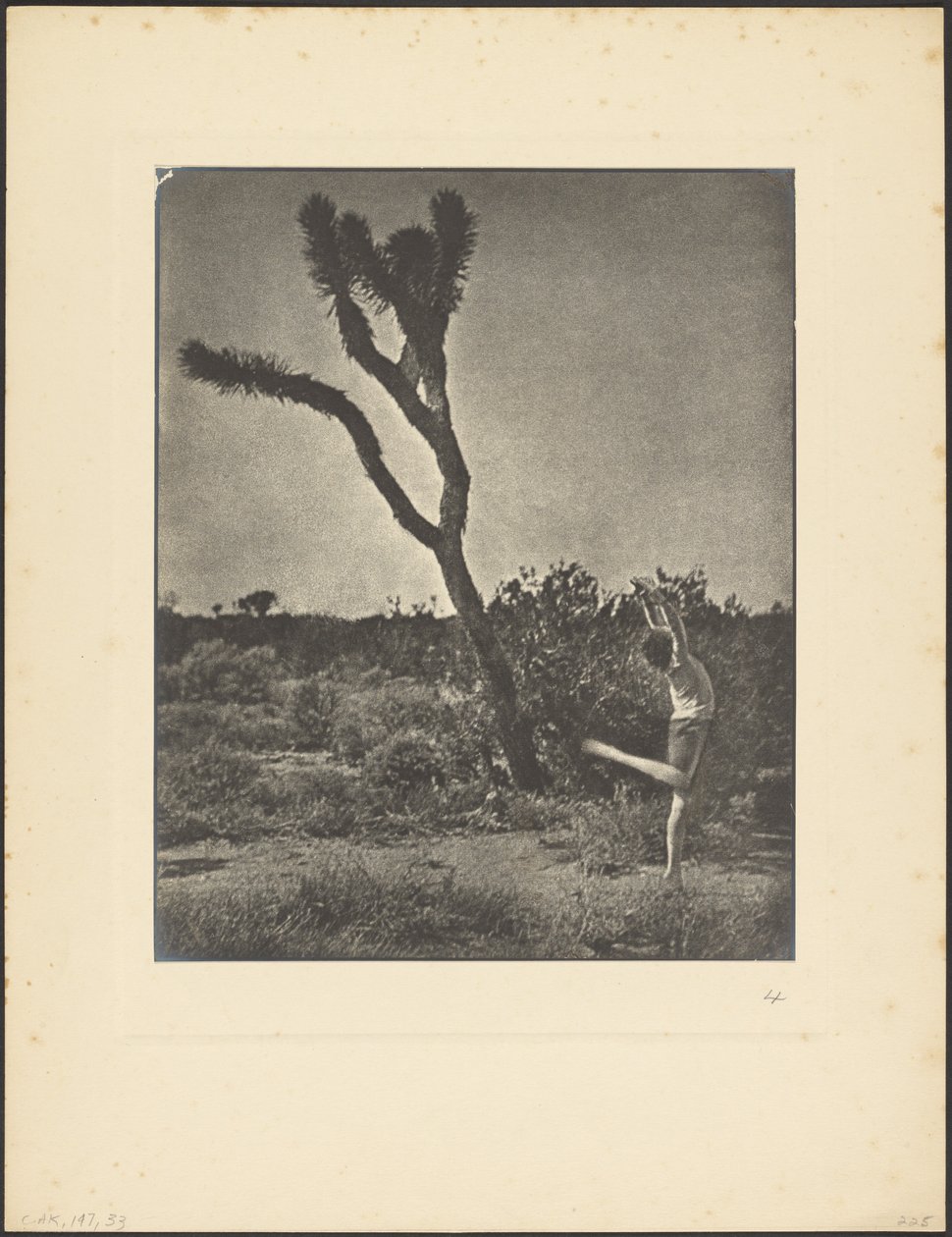 [Danseuse à Joshua Tree] - Louis Fleckenstein