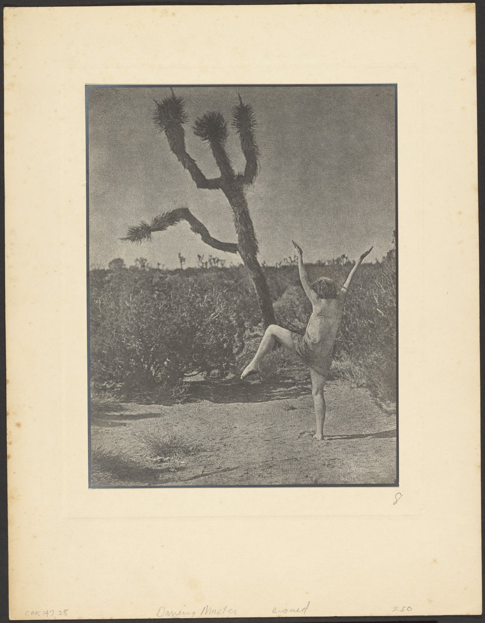 Maître de danse - Louis Fleckenstein
