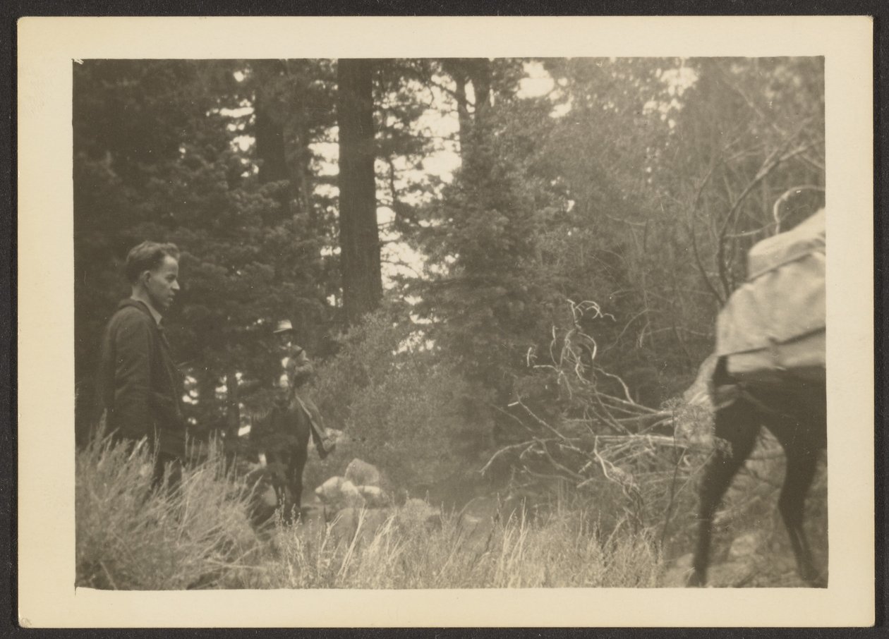 [Figures dans un paysage boisé] - Louis Fleckenstein