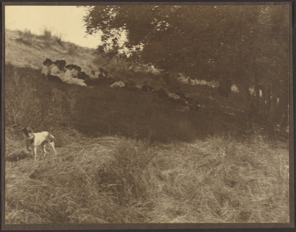 [Portrait de groupe : Repos dans un champ avec un chien] - Louis Fleckenstein