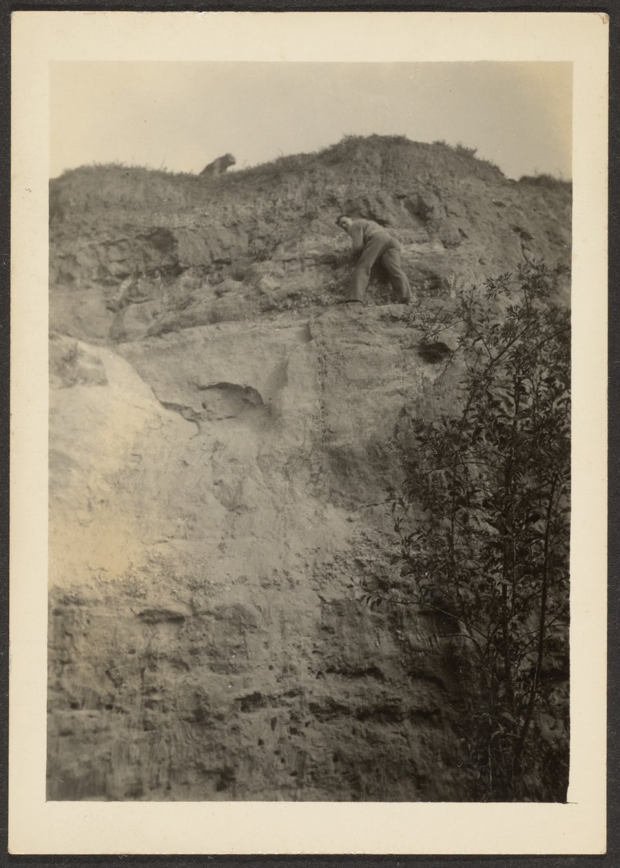 [Paysage] - Louis Fleckenstein