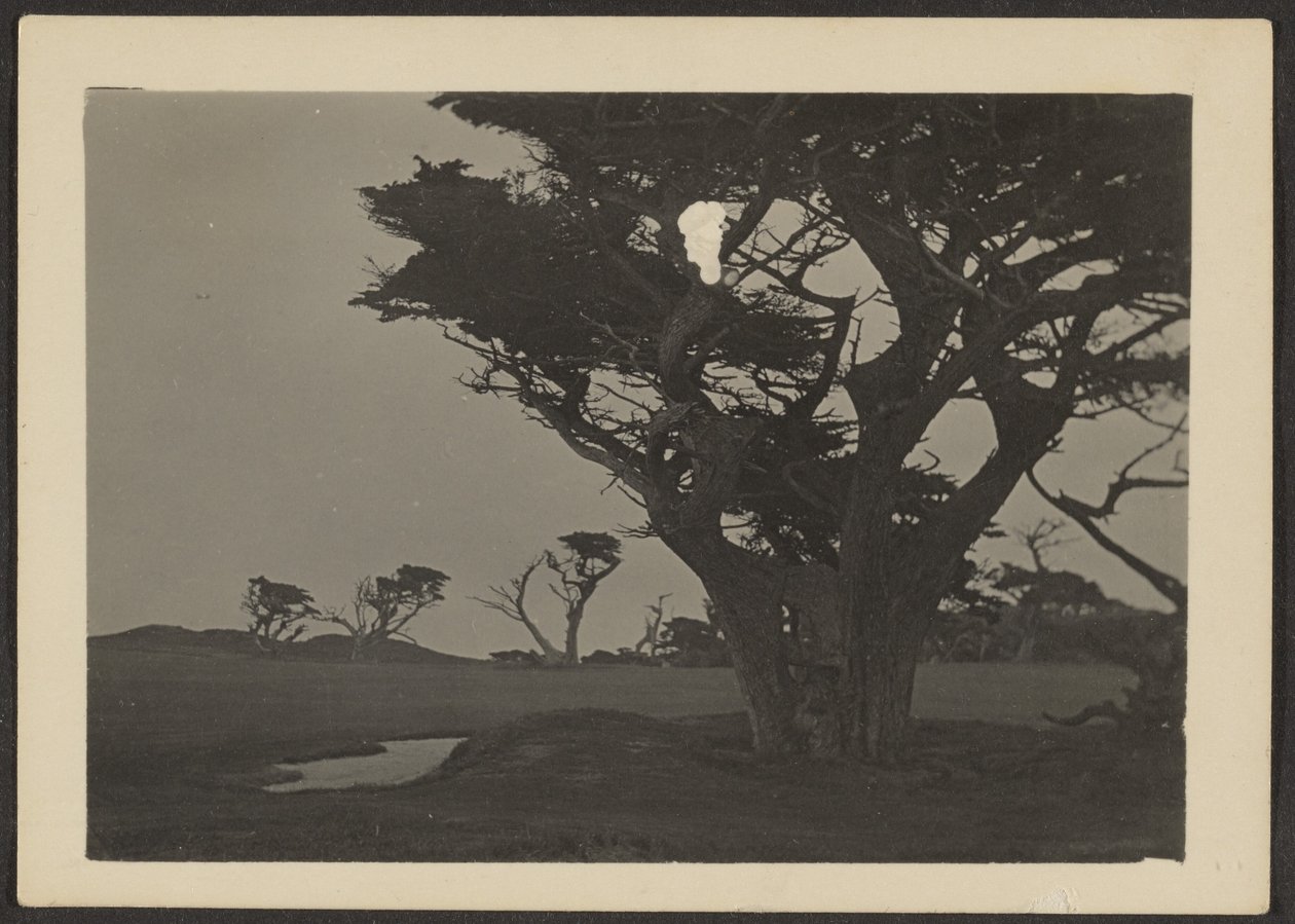 [Paysage] - Louis Fleckenstein