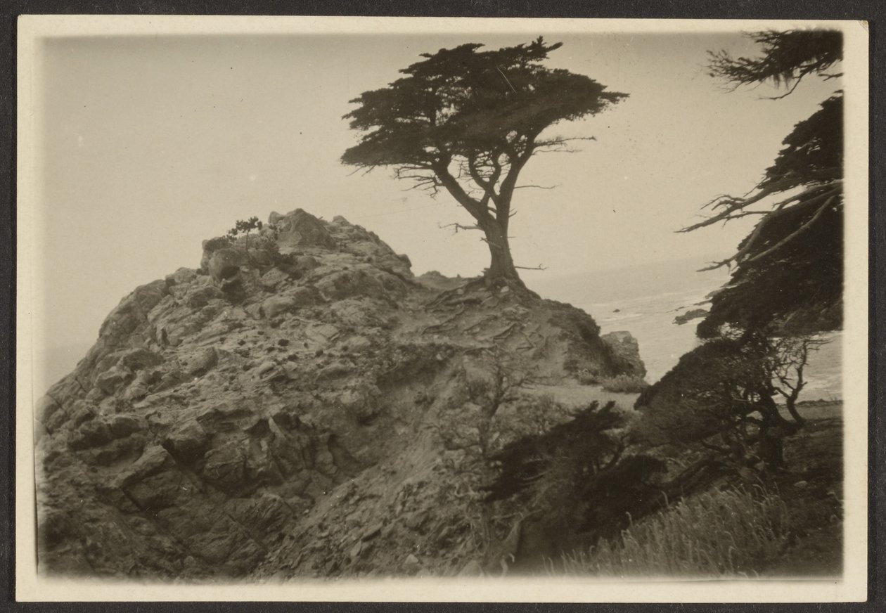 [Paysage avec un cyprès solitaire] - Louis Fleckenstein