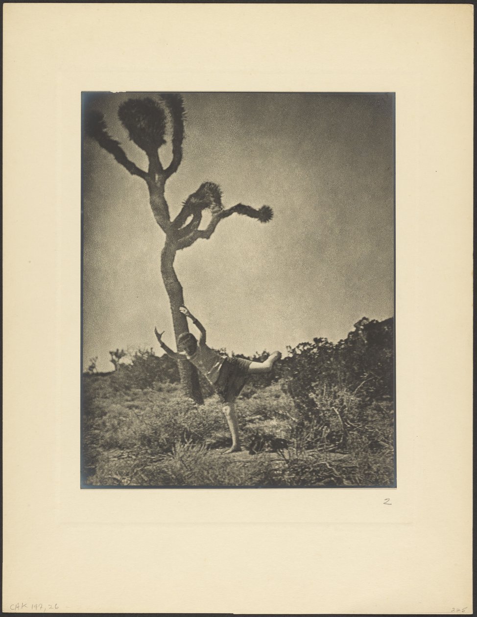 Joshua dansant, souple et gracieux - Louis Fleckenstein