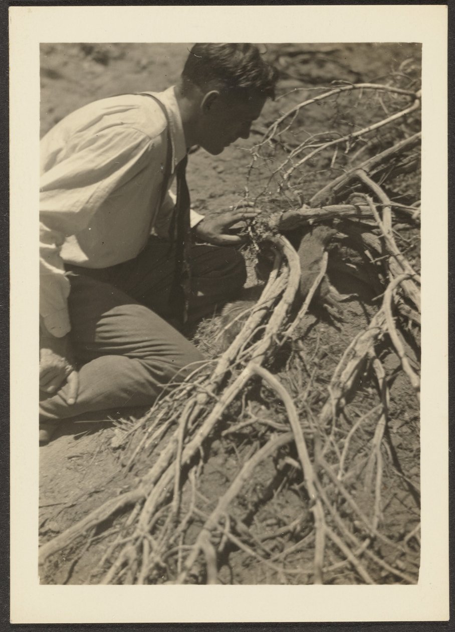 [Homme aux racines] - Louis Fleckenstein