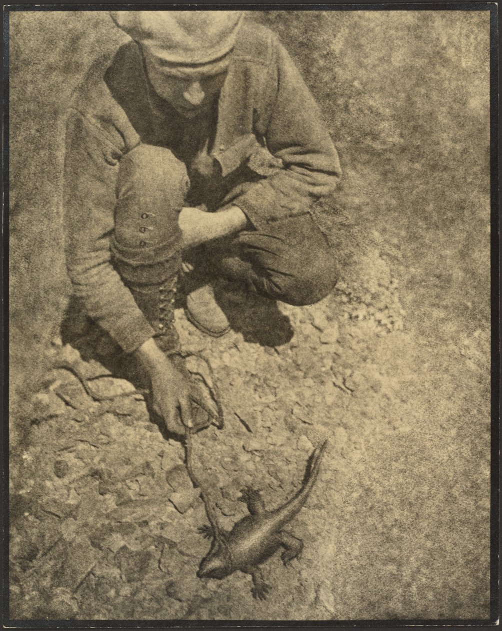 [Un homme avec un lézard] - Louis Fleckenstein
